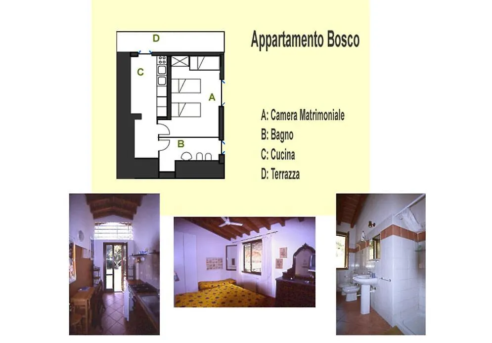 Holiday home Elbadamare - Casa Bosco Villa Capoliveri